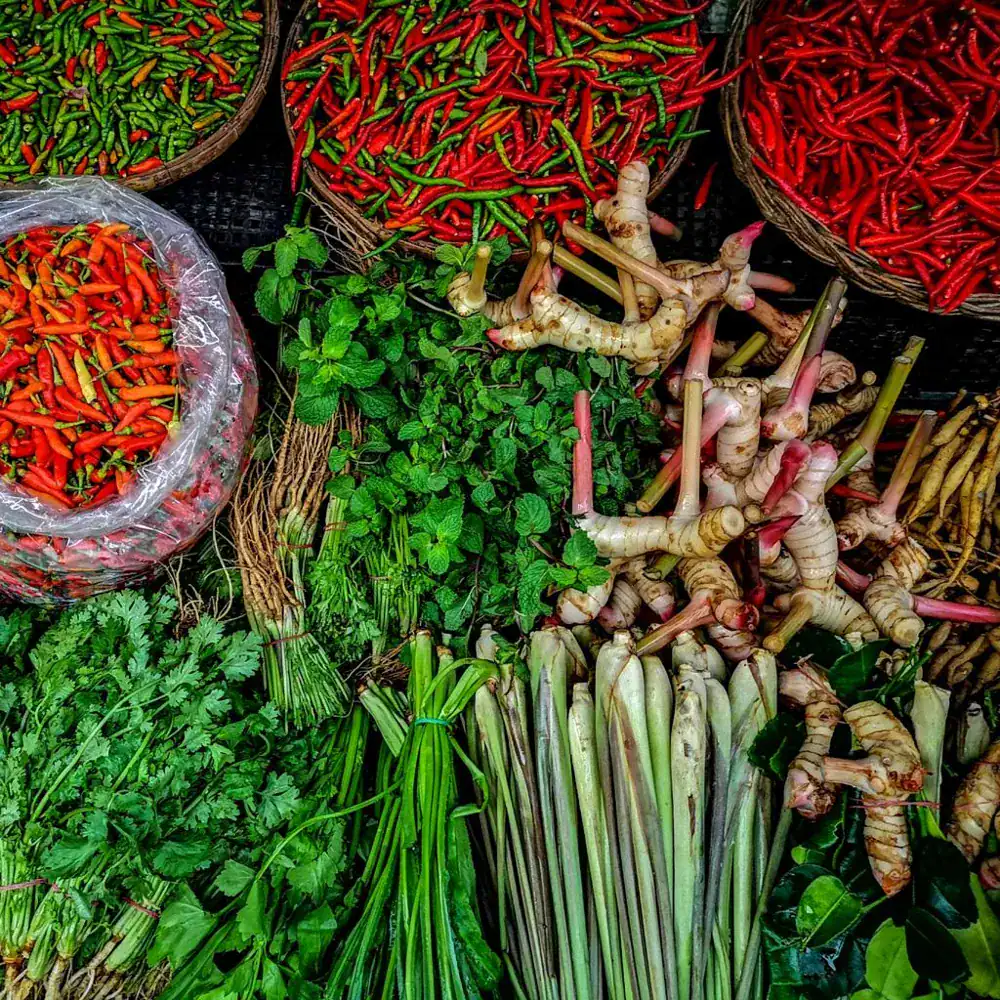 Fresh Thai herbs and spices including lemongrass galangal and chili in Phuket